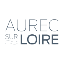 Transport Aurec Sur Loire Alternative Taxi